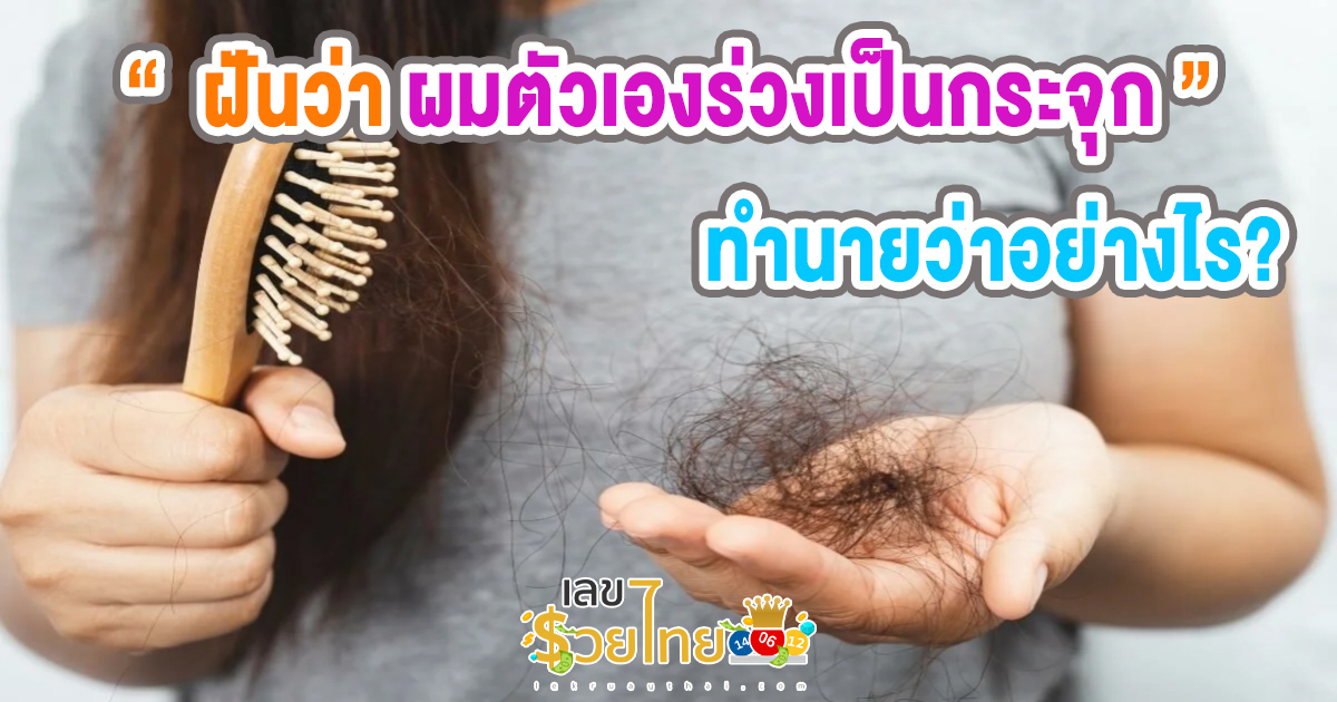 ฝันว่าผมตัวเองร่วงเป็นกระจุก ทำนายว่าอย่างไร? พร้อมตีเลขเด็ด ตามความฝัน ดูคำทำนาย แม่น ๆ ได้ที่นี่ เลขรวยไทย