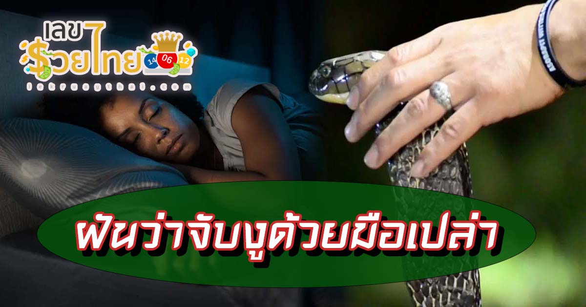 ฝันว่าจับงูด้วยมือเปล่า หมายความว่าอย่างไร พร้อมเลขเด็ด แม่นๆ ที่เกี่ยวกับความฝัน เช็กเลย!