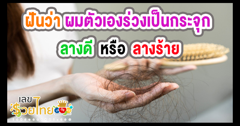 ฝันว่าผมตัวเองร่วงเป็นกระจุก - "Dreaming that hair is falling out pantip"