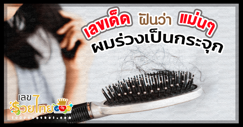 ฝันว่าหวีผมแล้วผมร่วง เลขเด็ด -"Dreaming that you comb your hair and it falls out lucky number"