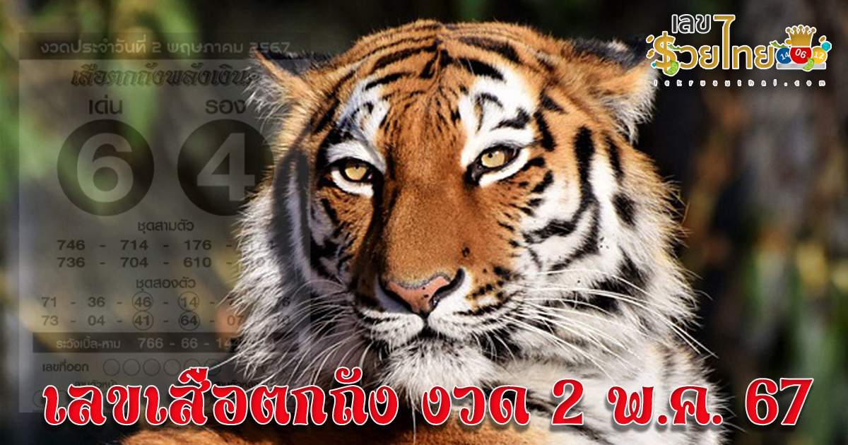 เสือตกถัง 2 5 67 ซื้อให้ทัน เลขเด็ดงวดนี้ หวยเสือตกถังพลังเงินดี แจกโชคเน้น ๆ 6 และ 4