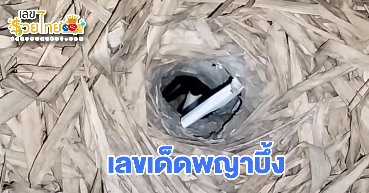 ลุ้นข้ามคืน เลขเด็ดพญาบึ้ง ทำพิธีเสี่ยงทาย “เลขเด็ด” พญาบึ้ง หวังลุ้นโชครับสงกรานต์