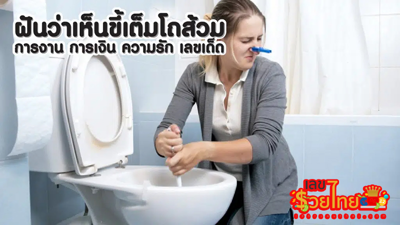 ฝันเห็นขี้ในโถส้วม-"Dream about seeing poop in the toilet"