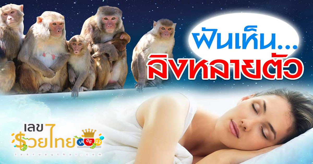 ฝันเห็นลิงหลายตัว จะเป็นอะไรไหมนะ ทำนายฝันพร้อมเลขเด็ดอะไรให้โชคลาภ อะไร ไปดูกันเลย