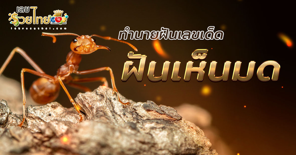 ฝันเห็นมดเยอะมาก ฝันเห็นมด เลขเด็ด เลขมงคล ทำนายฝัน พร้อมบอกความหมาย