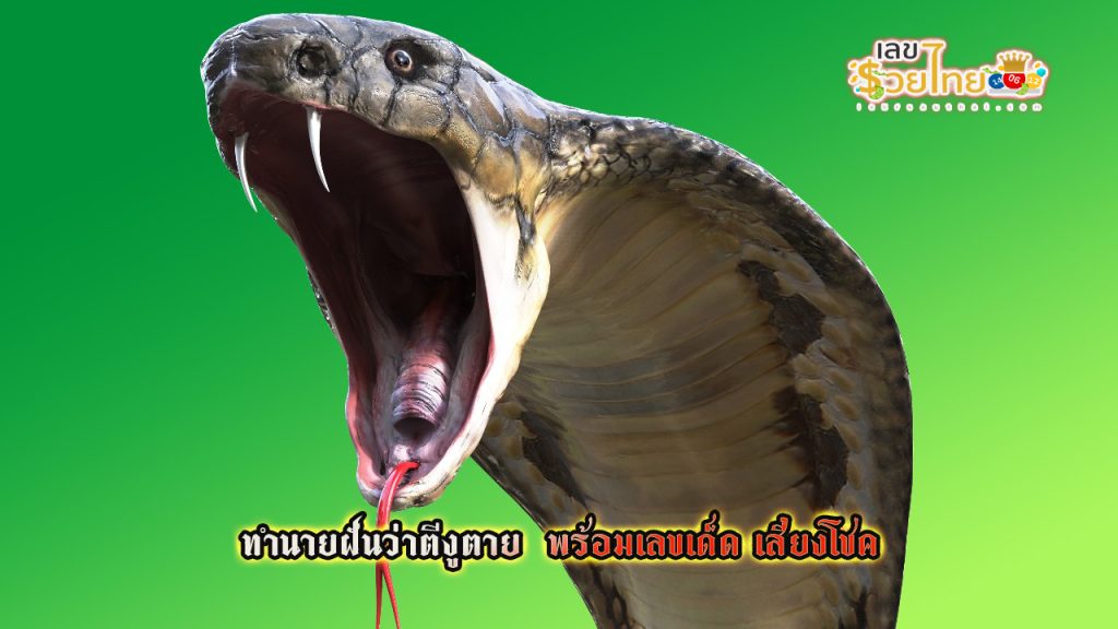 ฝันว่าตีงูตาย - "Dreamed of hitting a snake to death"