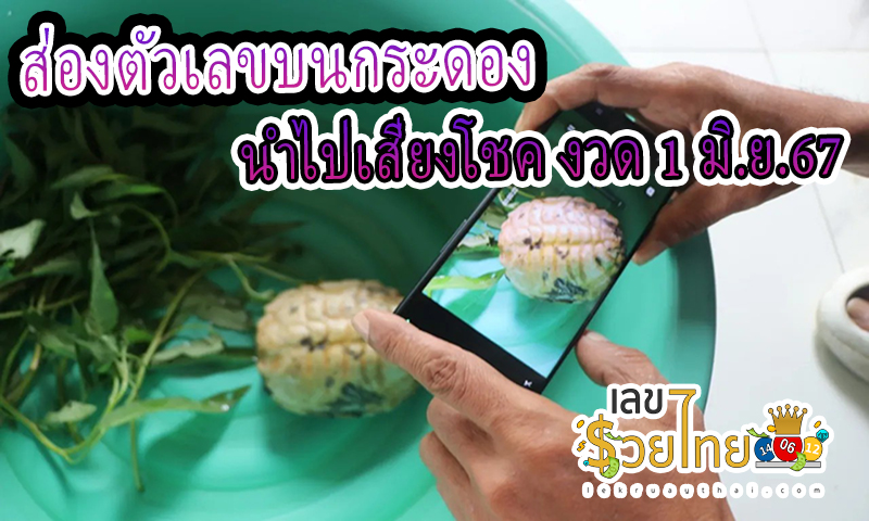 เลขเด็ดที่สุดในโลก -"The best number in the world"