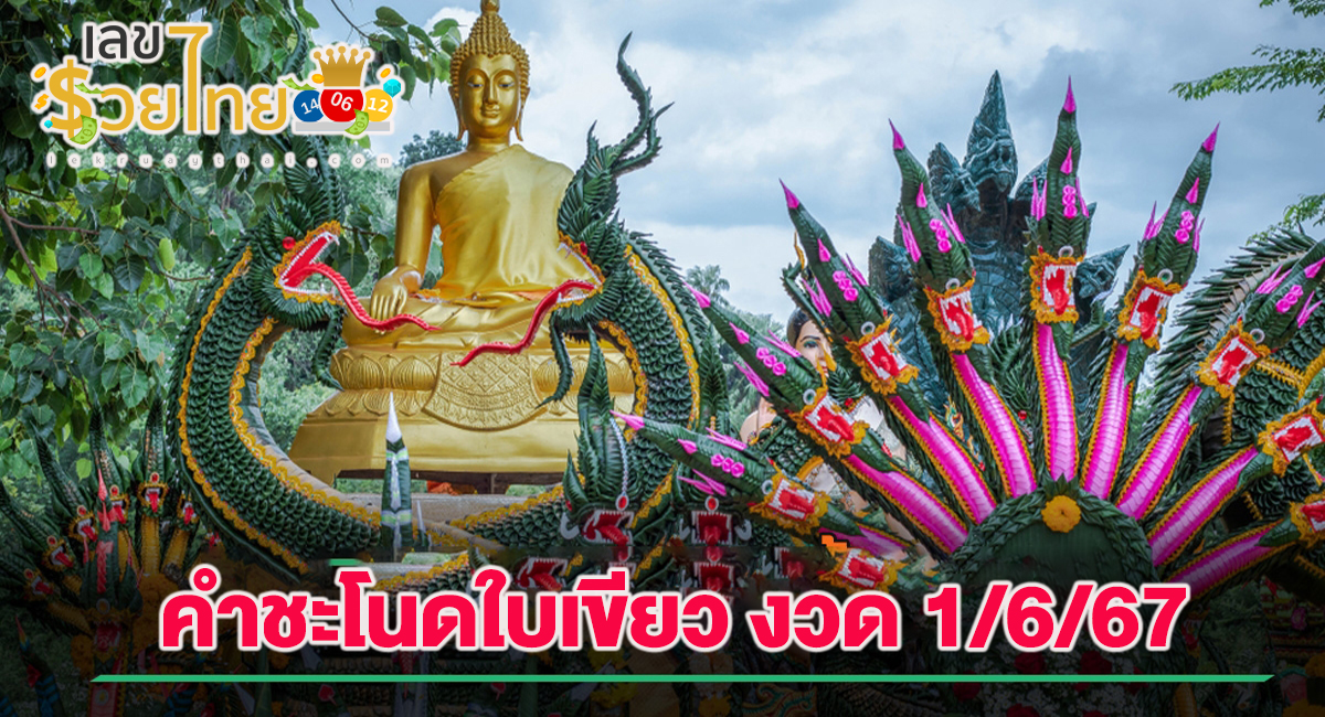 คำชะโนดใบเขียว 1 6 67 แนวทางสลากกินแบ่งรัฐบาล ไม่ควรพลาดติดตามได้ที่ เว็บเลขรวยไทย