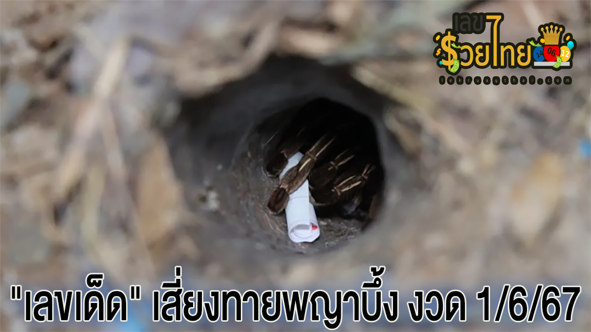เลขพญาบึ้งงวดล่าสุด คอหวยรอตั้งแต่เช้าจนมืดค่ำ ไม่ผิดหวังได้ “เลขเด็ด” เสี่ยงทายพญาบึ้ง งวด 1/6/67