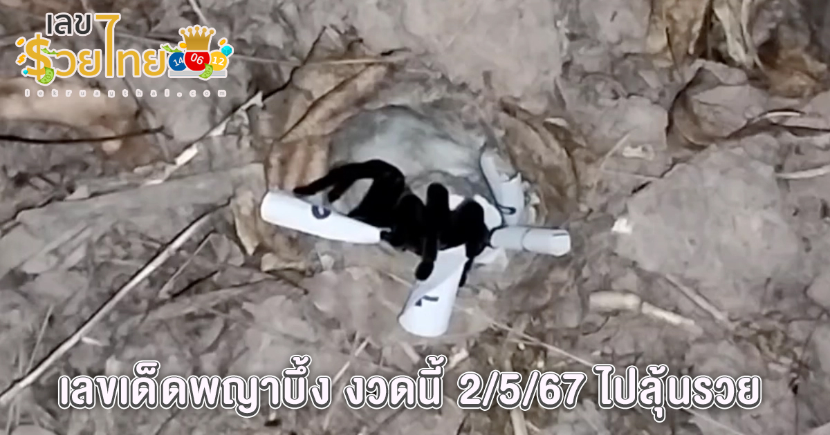 คอหวย ส่องเลขเด็ด รอ 3 ชั่วโมงไม่ผิดหวัง ทำพิธีขอโชคพญาบึ้ง ได้ “เลขเด็ดงวดนี้” ลุ้น 2/5/67