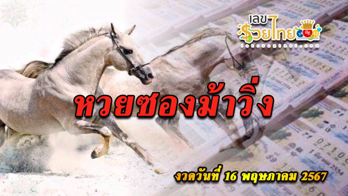 แจกชุดเลขเด่นมาแรง แนวทางเลขเด็ดหวยดัง เลขม้าวิ่ง 16 5 67  คอหวยห้ามพลาด!!