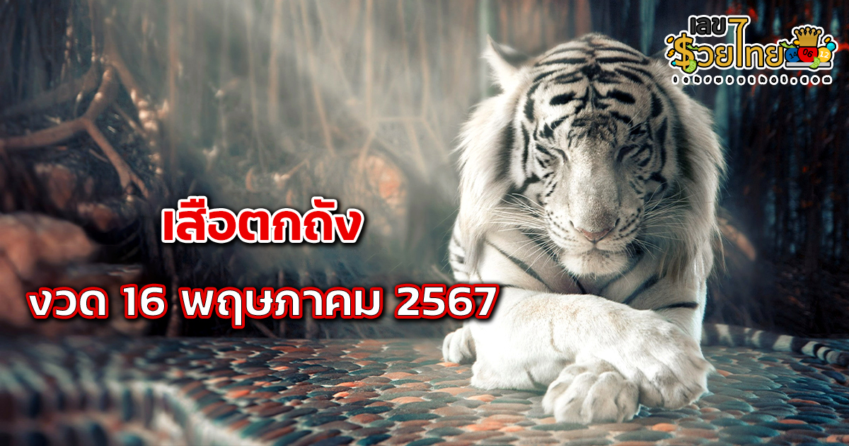 เสือตกถัง 16 5 67 เลขเด็ด แนวทางสลากกินแบ่งรัฐบาล ไม่ควรพลาดติดตามได้ที่ เว็บเลขรวยไทย