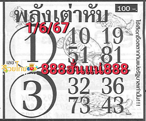 เลขพลังเต่าหับ 1 6 67-"Turtle's power number 1 6 67"