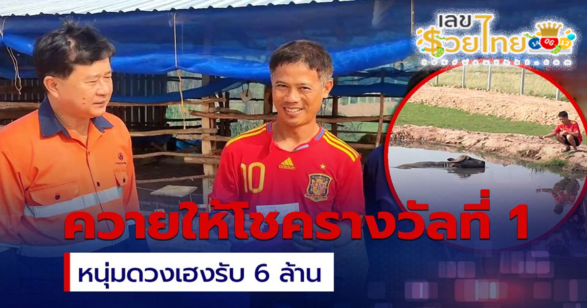 ควายให้โชค หนุ่มเพชรบูรณ์ เฮ ถูกหวย 6 ล้าน เตรียมสร้างคอกใหม่ให้ทันที