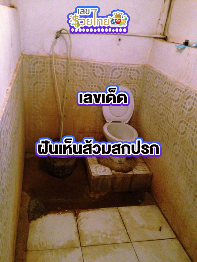 ฝันเห็นห้องน้ำสกปรก -"Dream of seeing a dirty bathroom"