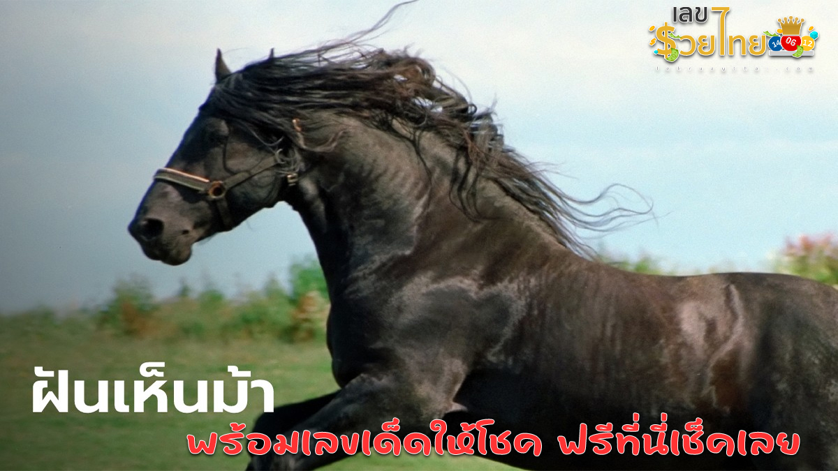 ทำนายฝัน ฝันเห็นม้า มีความหมายว่าอย่างไร โชคร้ายหรือโชคดี พร้อมเลขเด็ดให้โชค ฟรีที่นี่เช็คเลย
