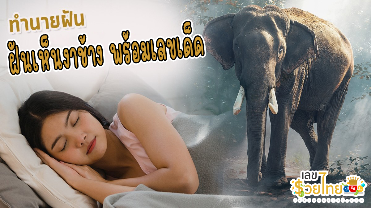 ฝันเห็นงาช้าง ทำนายว่าอย่างไร? พร้อมตีเลขเด็ด ตามความฝัน ดูคำทำนาย แม่น ๆ ได้ที่นี่ lekruaythai