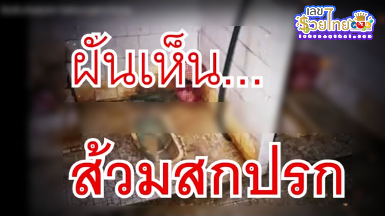 ฝันเห็นห้องส้วมสกปรกหลายห้อง -"Dreamed of seeing many dirty toilets."