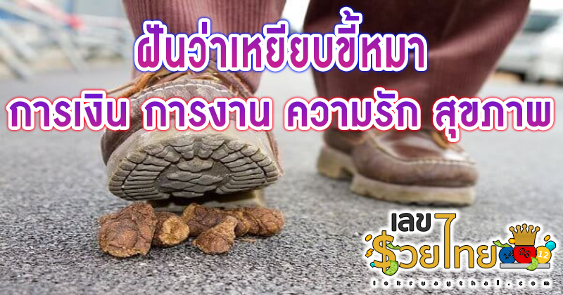 ฝันว่าเหยียบขี้หมา -"Dreamed of stepping on dog poop with your right foot"