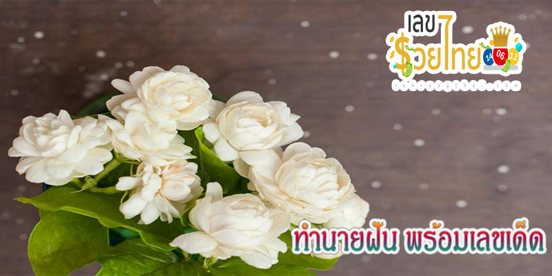 ฝันว่า เก็บดอกไม้ เลขเด็ด-"Dreaming about picking flowers, lucky numbers"