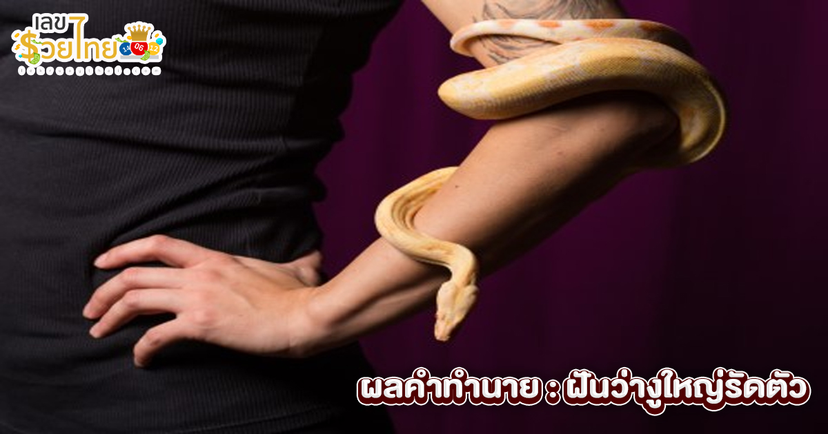 ฝันว่างูใหญ่รัดตัว -"Dreaming of a big snake corseting you."
