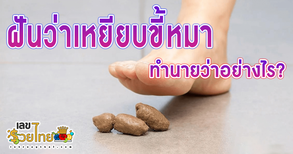 ฝันว่าเหยียบขี้หมา ทำนายว่าอย่างไร? พร้อมตีเลขเด็ด ตามความฝัน ดูคำทำนาย แม่น ๆ ได้ที่นี่ เลขรวยไทย