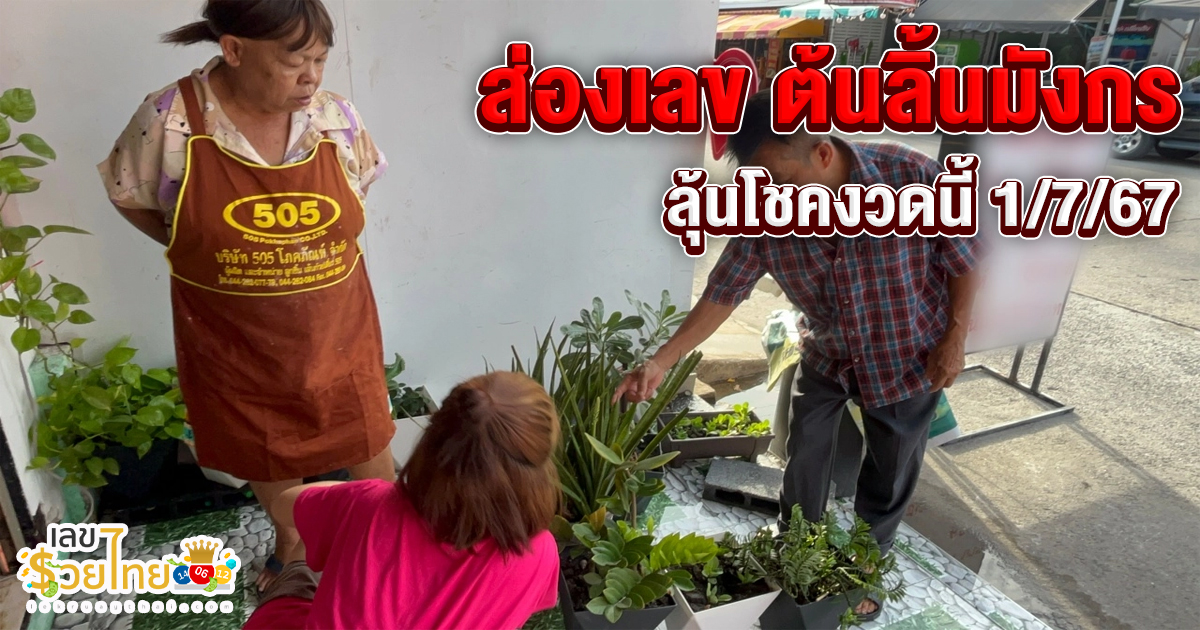 คอหวยแห่ส่อง “ต้นลิ้นมังกร” ออกดอก หลังงวดที่แล้ว “เลขเด็ด” ให้โชคเจ้าของบ้าน ลุ้นโชคงวดนี้ 1/7/67