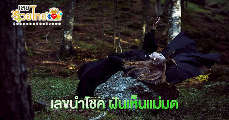 ฝันว่าต่อสู้กับแม่มด-"Dream of fighting a witch"