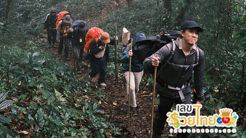 ฝันเห็นป่าเขา-"Dream of seeing a mountain forest"