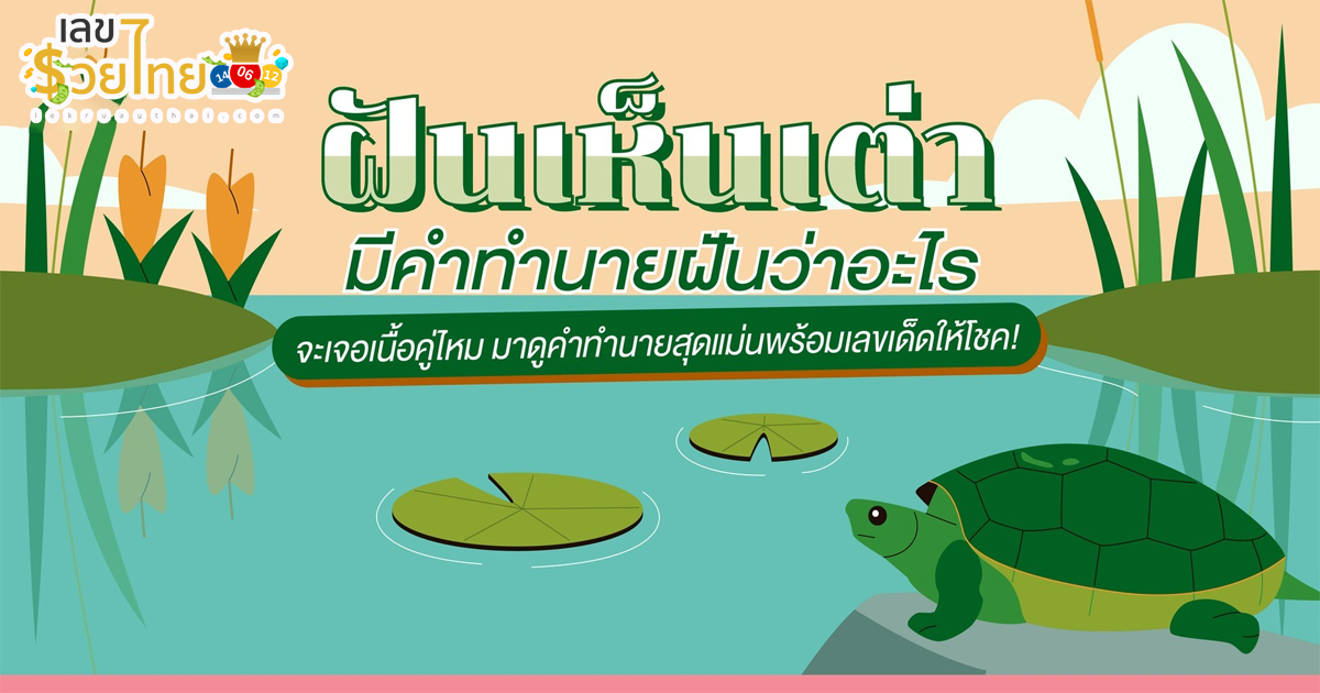 ฝันเห็นเต่า ทำนายว่าอย่างไร? พร้อมตีเลขเด็ด ตามความฝัน ดูคำทำนาย แม่น ๆ ได้ที่นี่ lekruaythai
