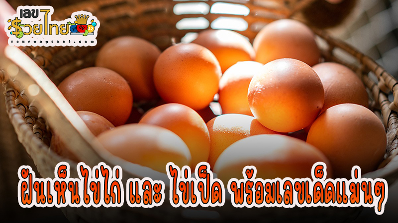 ฝันเห็นไข่เป็ดสีขาวเลขเด็ด -"Dreaming of seeing white duck eggs is a lucky number."