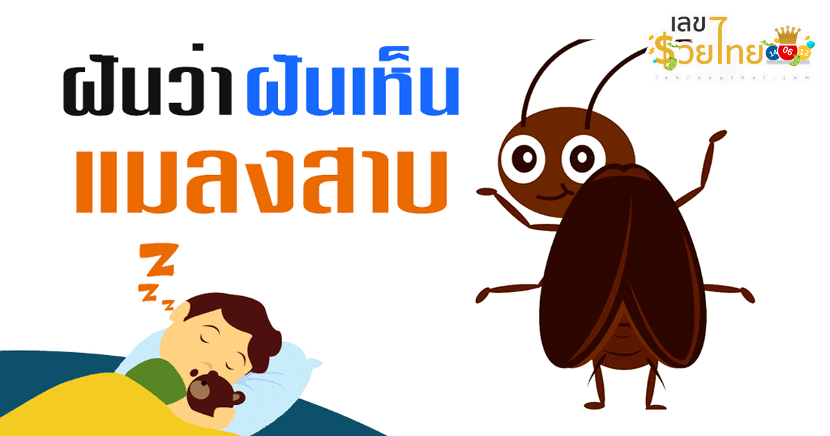 ฝันเห็น แมลงสาบ 1 ตัว-"Dreamed of seeing a cockroach"