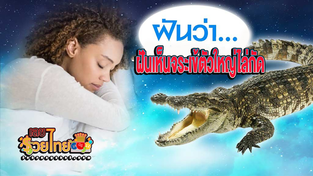 ฝันเห็นจระเข้ตัวใหญ่ไล่กัด หมายถึงอะไร ทำนายฝันว่าอะไร พร้อมเลขเด็ดที่เกี่ยวกับความฝัน เช็กความฝันแม่นๆ