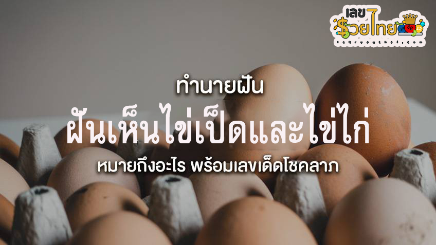 ฝันเห็นไข่ไก่ ไข่เป็ด -"Dream about seeing chicken eggs, duck eggs"