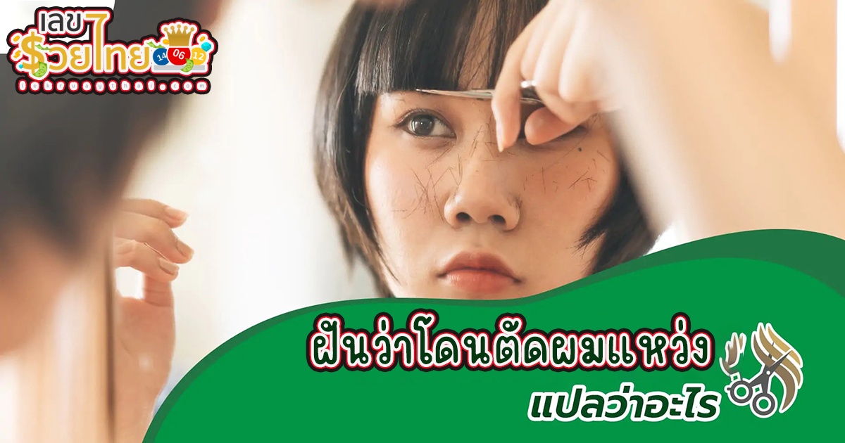 เปิดคำทำนายฝันว่าโดนตัดผมแหว่ง บอกอะไรหลายอย่าง หมายความว่าอย่างไร พร้อมเลขเด็ด แม่นๆ ที่เกี่ยวกับความฝัน