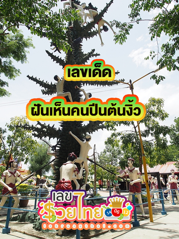 ฝันเห็นคนปีนต้นงิ้ว -"Dream of seeing someone climbing a tree"