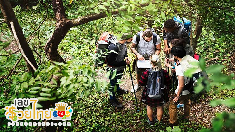 ฝันว่าเดินป่ากับเพื่อน-"Dreaming about hiking with friends"