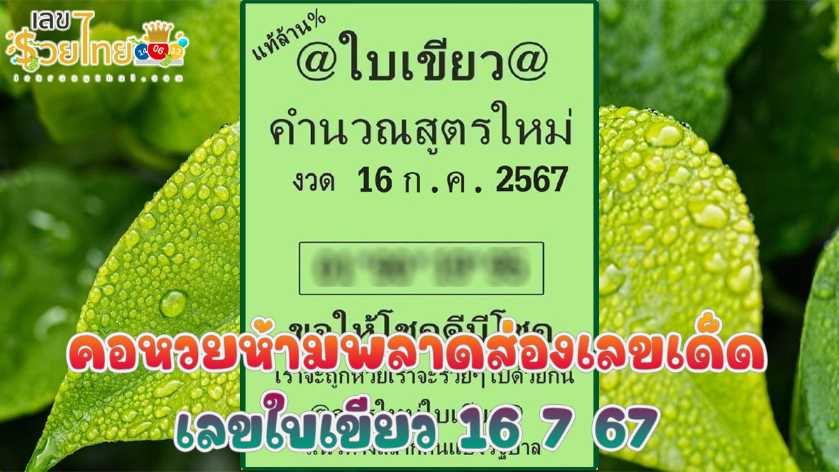 เลขใบเขียว 16 7 67 คอหวยห้ามพลาดส่องเลขเด็ด แนวทางหวยรัฐบาลไทยแม่นๆ รีบจดด่วน!!