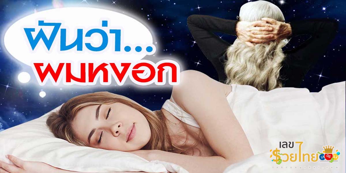 ฝันว่าหงอกเต็มหัว ทำนายว่าอย่างไร ? พร้อมตีเลขเด็ด ตามความฝัน ดูคำทำนาย แม่น ๆ ได้ที่นี่เว็บ lekruaythai !!
