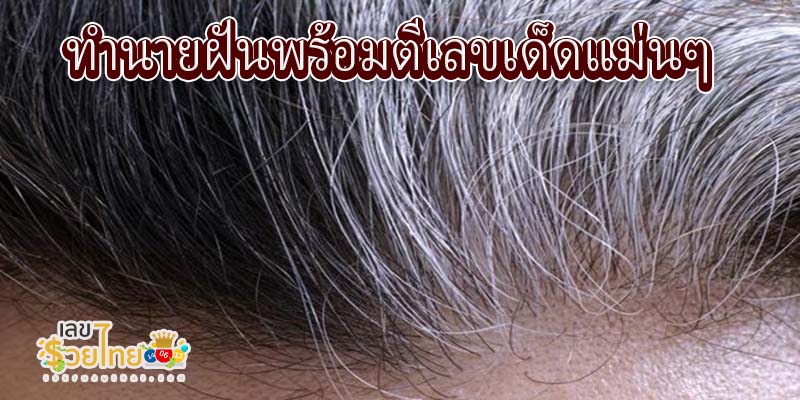 ฝันว่าหงอกเต็มหัว-"I dreamed that my head was full of gray hair."