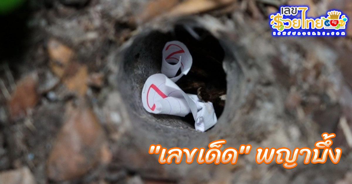 พญาบึ้งงวดนี้-"Phraya frowned this time."