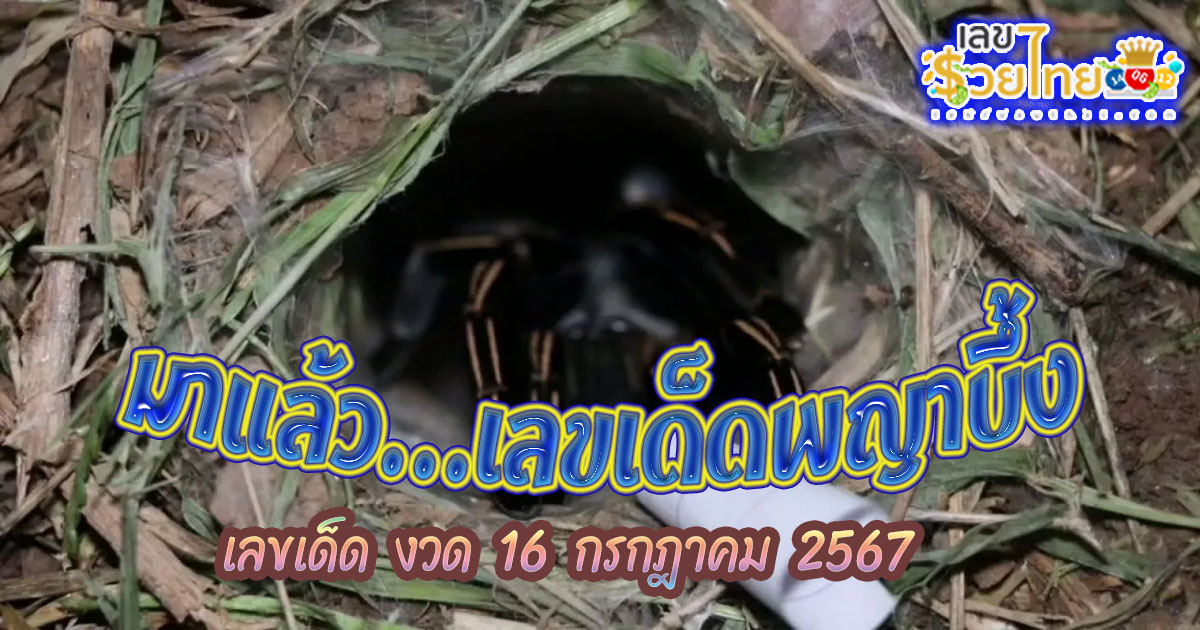 มาแล้ว “เลขเด็ด” พญาบึ้งงวดนี้ 16 ก.ค. 67 นักเสี่ยงดวง เฝ้ารอลุ้นจนได้เลข เตรียมลุ้นโชค ลุ้นรวยกันเลย