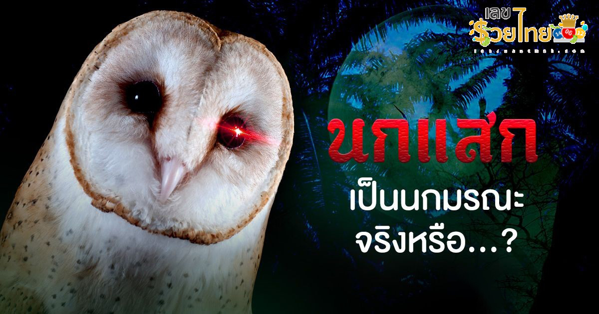 อย่าเคาะจานข้าว-"Screech Owl"