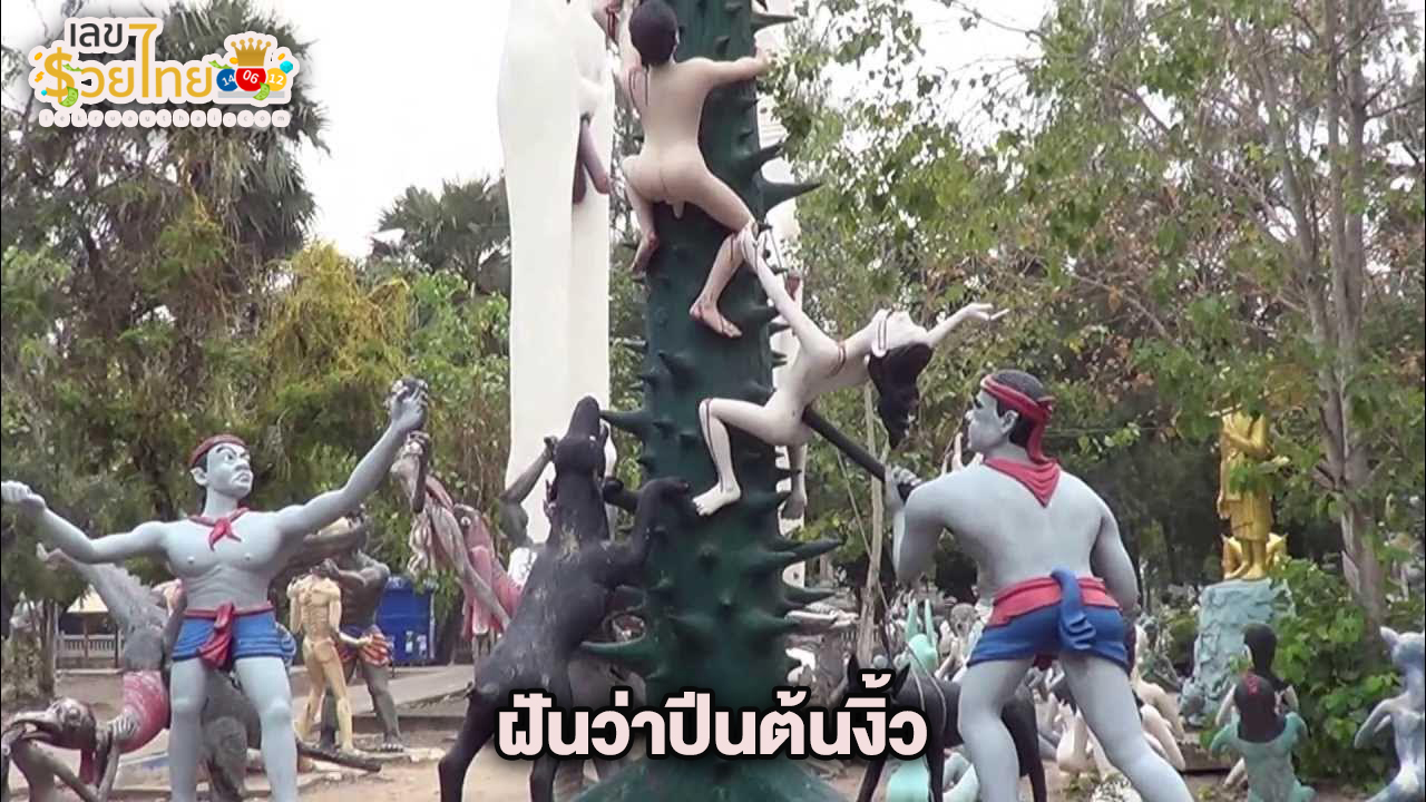 ฝันว่าปีนต้นงิ้ว -"Dreaming of climbing a tree"