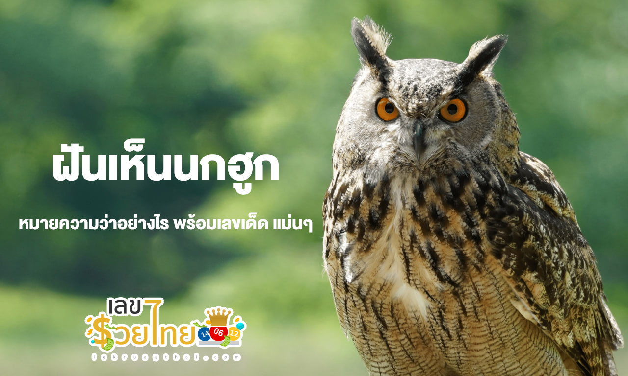 ฝันเห็นนกฮูก-''Dream of seeing an owl''