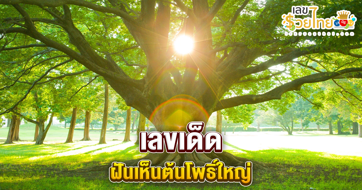 ฝันเห็นต้นโพธิ์ใหญ่หลายต้น-"Dream of seeing many large Bodhi trees"
