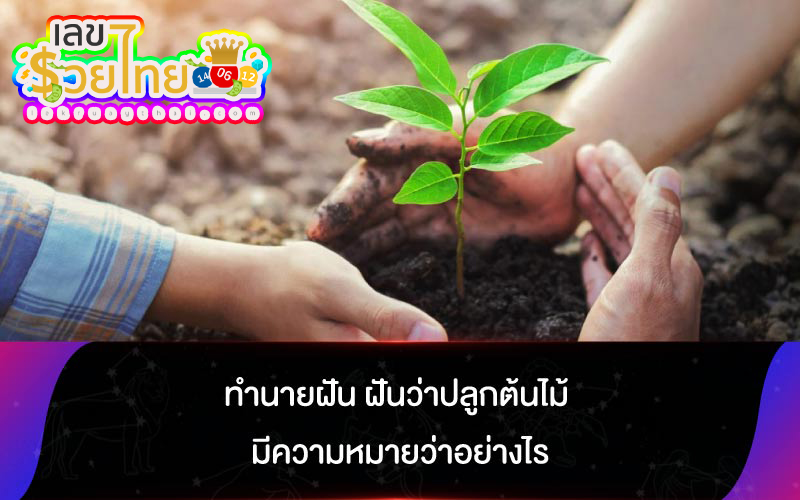 ฝันว่าปลูกต้นไม้ -"Dreaming of planting trees"
