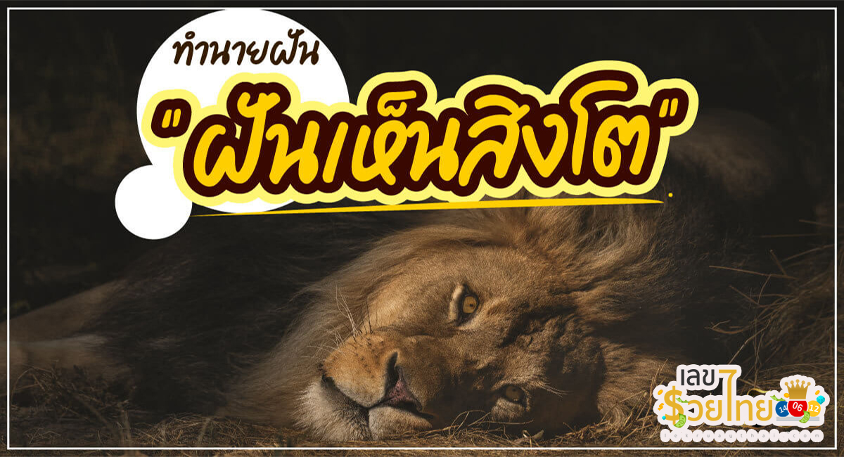 ฝันเห็นสิงโต หมายความว่าอย่างไร พร้อมเลขเด็ด แม่นๆ ที่เกี่ยวกับความฝัน เช็กเลย!