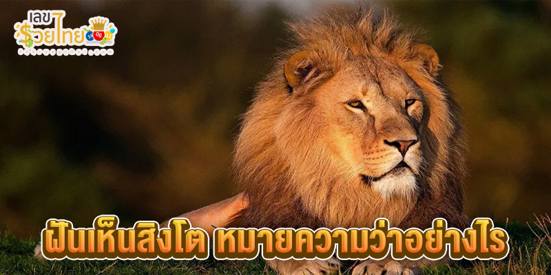 ฝันเห็นสิงโต-"Dreaming of a lion"