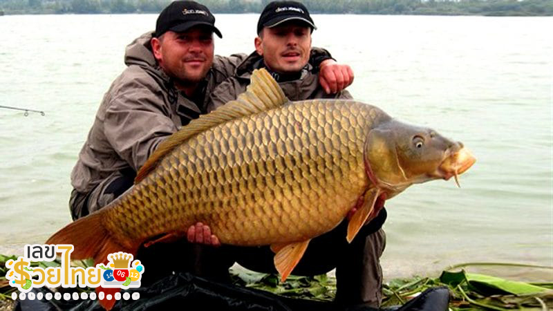ฝันว่าตกปลาได้ตัวใหญ่-"Dreamed of catching a big fish."